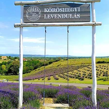 Maison d'hôtes önálló, Klimatizált, Medencés A Balatonnál!