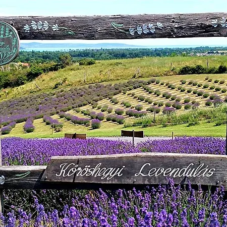 Vendégház önálló, Klimatizált, Medencés A Balatonnál! *