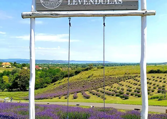 בית הארחה Klimatizalt, Medences, Jakuzzis Nyaralo A Balatonnal!