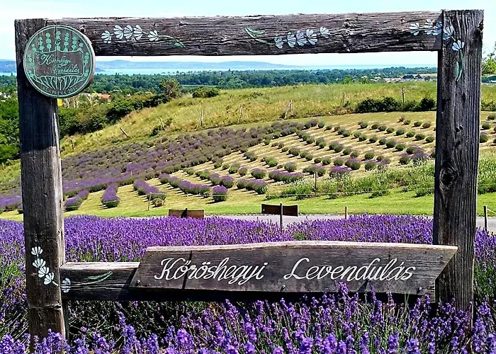 בית הארחה Klimatizalt, Medences, Jakuzzis Nyaralo A Balatonnal! *